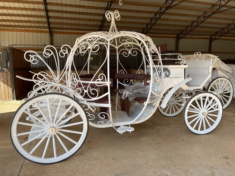 Cinderalla Carriage