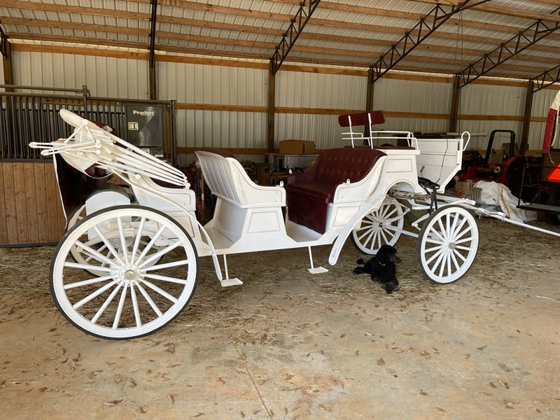 Limo Carriage