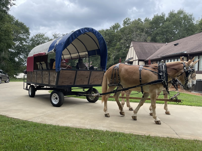 Wagon Carriage - 1